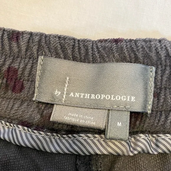 Anthropologie Gray and Purple velvet Jogger Pants size medium - Picture 3 of 10